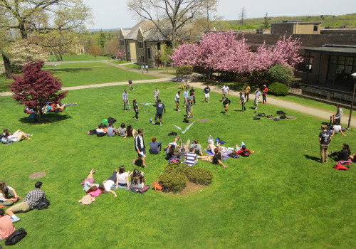 Exploring the Top School Districts in Westchester County, NY